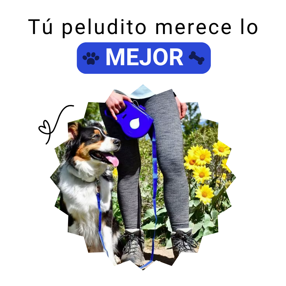 PetDrop™ - Correa 5 en 1 para perros